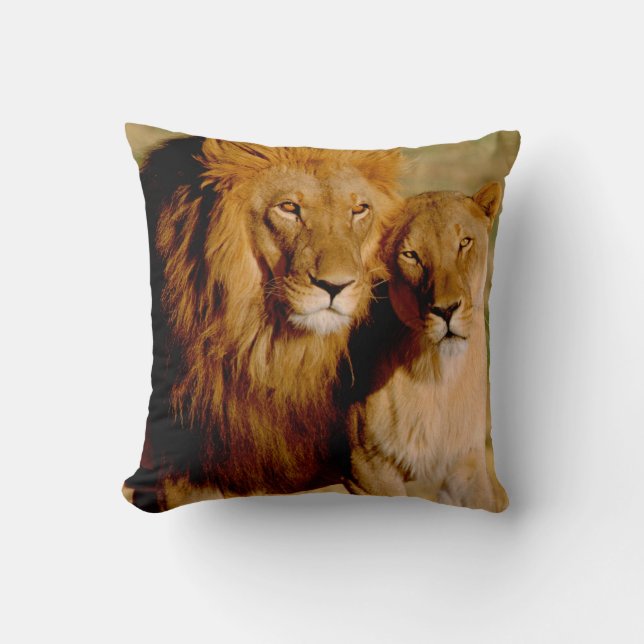 Africa, Namibia, Okonjima. Lion & lioness Throw Pillow (Front)