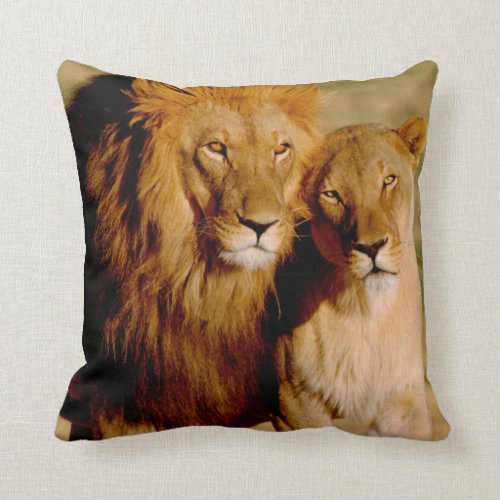 Africa Namibia Okonjima Lion  lioness Throw Pillow