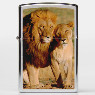 Africa, Namibia, Okonjima. Lion & lioness Zippo Lighter
