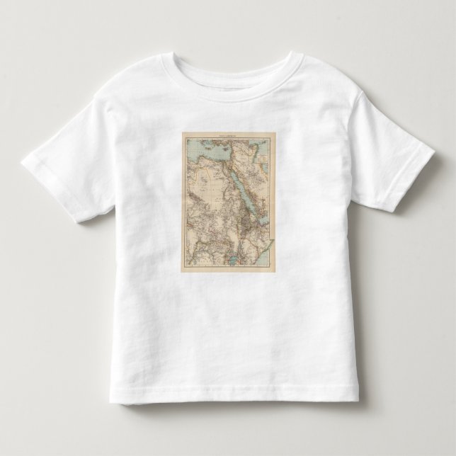 Africa NE Toddler T-shirt (Front)