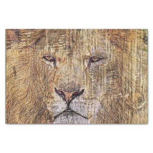 Africa safari animal wildlife majestic lion tissue paper