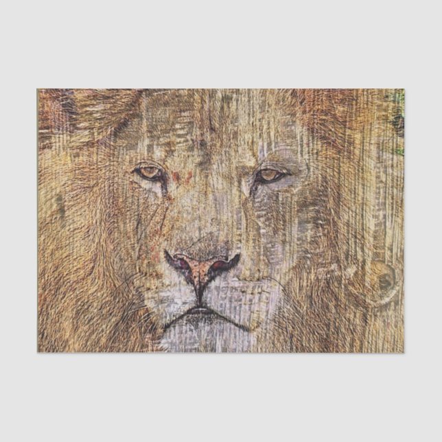 Africa safari animal wildlife majestic lion tissue paper (Front)