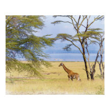 Africa Safari Giraffe Watercolor Painting