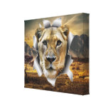 Africa-Safari