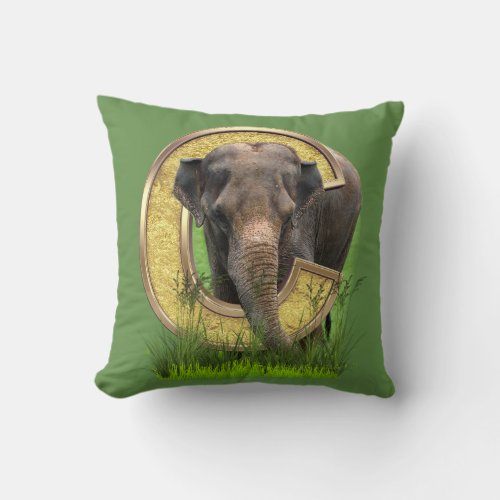 Africa_Safari Wildlife_Art Capital C Throw Pillow