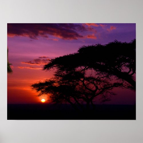 AFRICA Serengeti Sunset Poster
