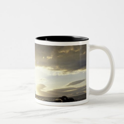 Africa South Africa Black_footed penguins Two_Tone Coffee Mug