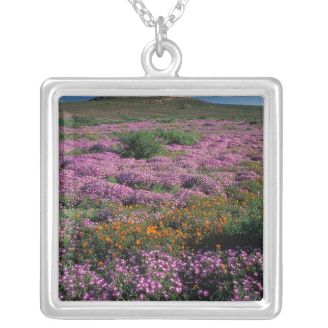 Africa, South Africa, Namaqualand, Orange and Silver Plated Necklace (Front)