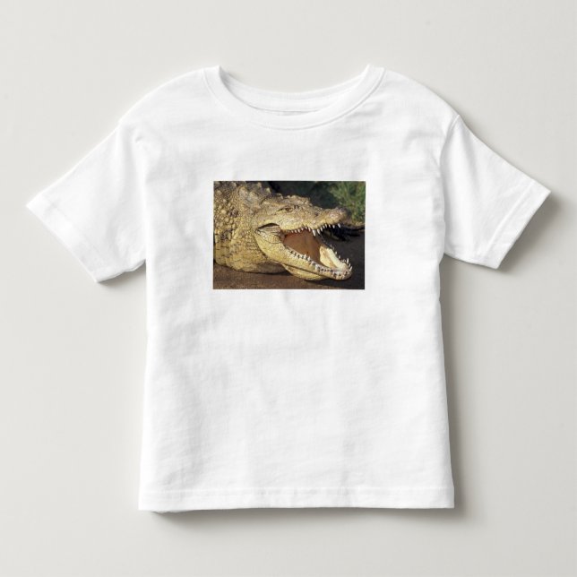 Africa, South Africa Nile crocodile Toddler T-shirt (Front)