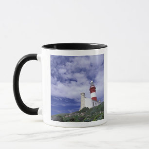 Africa, South Africa, Western Cape, Cape Mug