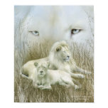 Africa - Spirit Of The White Lion Art Poster/Print Poster