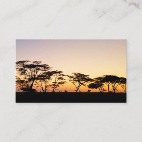 Africa _ Sunset Business Card