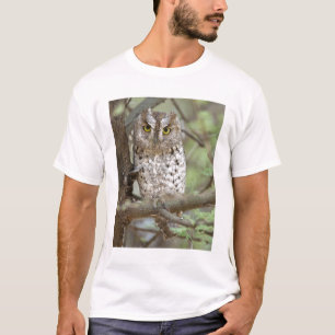 Africa. Tanzania. African Scops Owl at Tarangire 2 T-Shirt