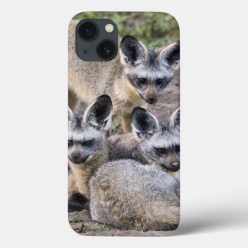 Africa Tanzania Bat_Eared Foxes at Ndutu in iPhone 13 Case