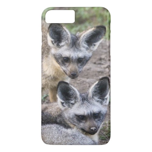 Africa Tanzania Bat_Eared Foxes at Ndutu in iPhone 8 Plus7 Plus Case