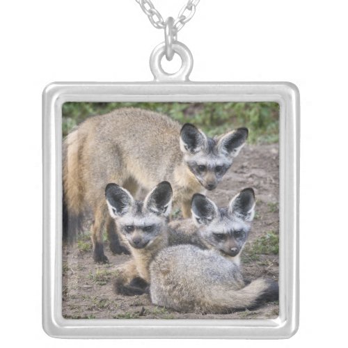 Africa Tanzania Bat_Eared Foxes at Ndutu in Silver Plated Necklace