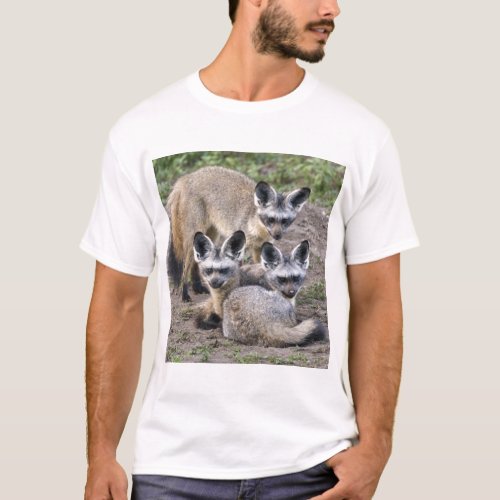 Africa Tanzania Bat_Eared Foxes at Ndutu in T_Shirt