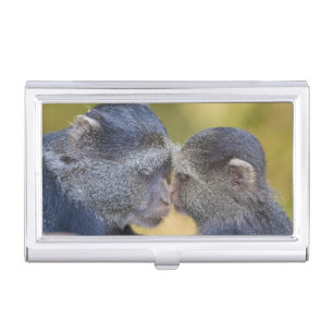 Africa. Tanzania. Blue Monkey mother with young Business Card Holder