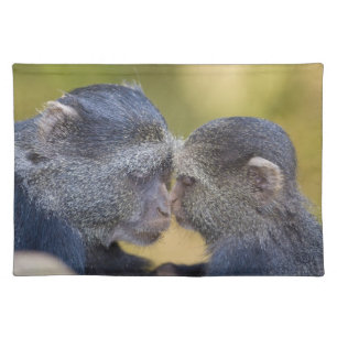 Africa. Tanzania. Blue Monkey mother with young Cloth Placemat