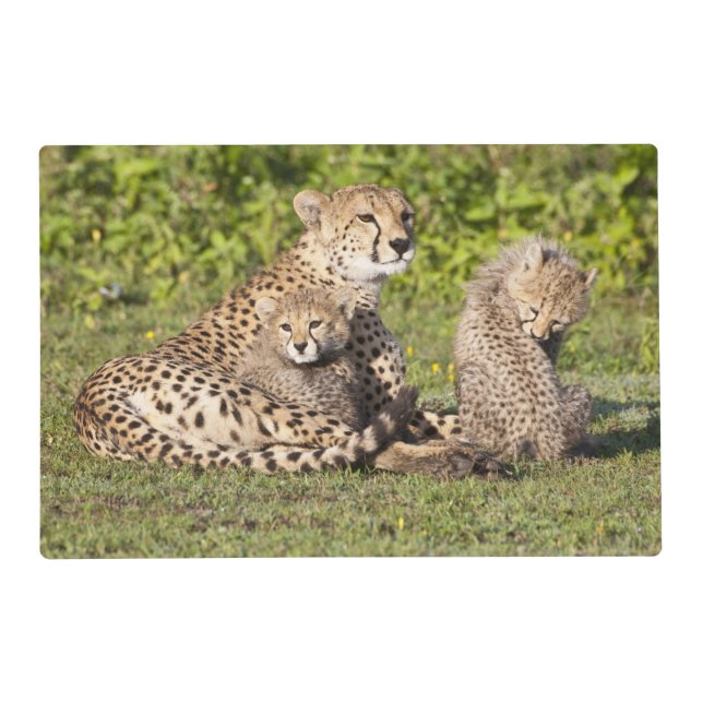 Africa. Tanzania. Cheetah mother and cubs 2 Placemat (Front)