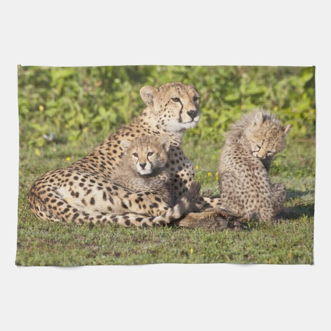 Africa. Tanzania. Cheetah mother and cubs 2 Towel (Horizontal)