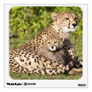 Africa. Tanzania. Cheetah mother and cubs 2 Wall Sticker