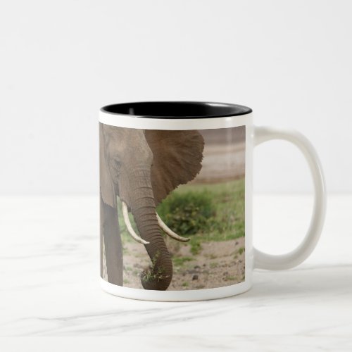 Africa Tanzania Elephant at Lake Manyara NP Two_Tone Coffee Mug