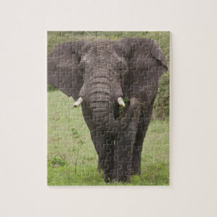Africa Tanzania Elephant at Ngorongoro Crater Jigsaw Puzzle