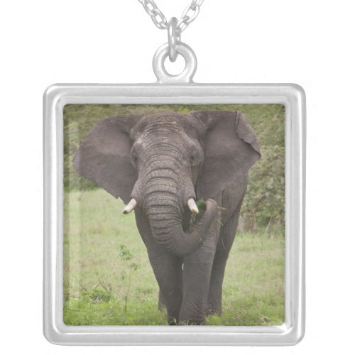 Africa Tanzania Elephant at Ngorongoro Crater Silver Plated Necklace