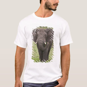 Africa Tanzania Elephant at Ngorongoro Crater T-Shirt