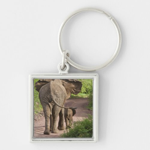 Africa Tanzania Elephant mother and calf at Keychain