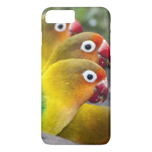 Africa Tanzania Fischers Lovebirds drinking iPhone 8 Plus7 Plus Case