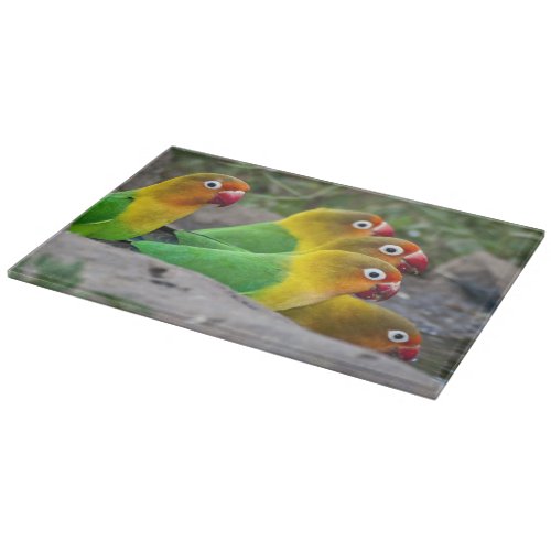 Africa Tanzania Fischers Lovebirds drinking Cutting Board