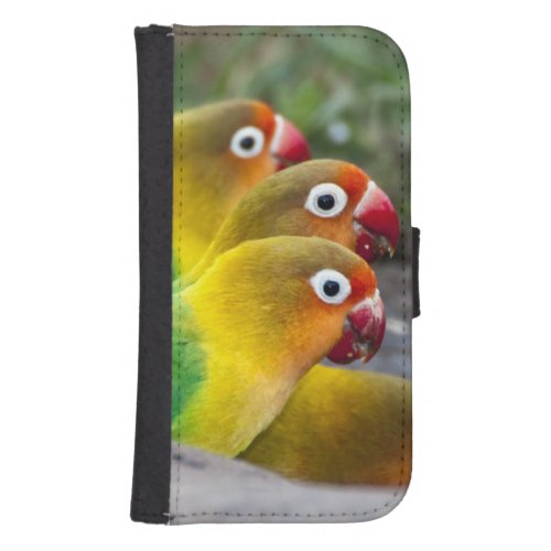 Africa Tanzania Fischers Lovebirds drinking Phone Wallet