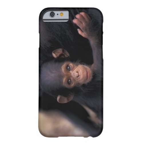 Africa Tanzania Gombe Natl Park  Flirt a Barely There iPhone 6 Case