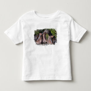 Africa. Tanzania. Hippopotamus sparring Toddler T-shirt