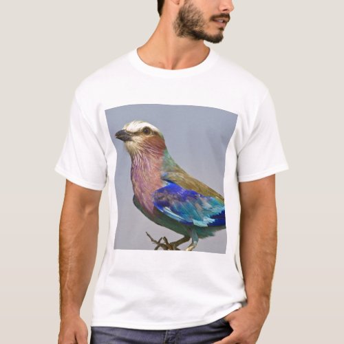 Africa Tanzania Lilac_Breasted Roller in T_Shirt