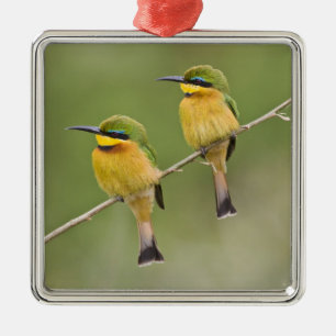 Africa. Tanzania. Little Bee Eaters at Manyara Metal Ornament