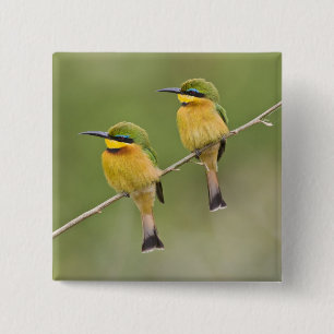 Africa. Tanzania. Little Bee Eaters at Manyara Pinback Button