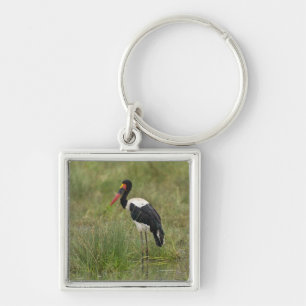 Africa. Tanzania. Male Saddle-billed Stork Keychain
