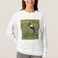 Africa. Tanzania. Male Saddle-billed Stork