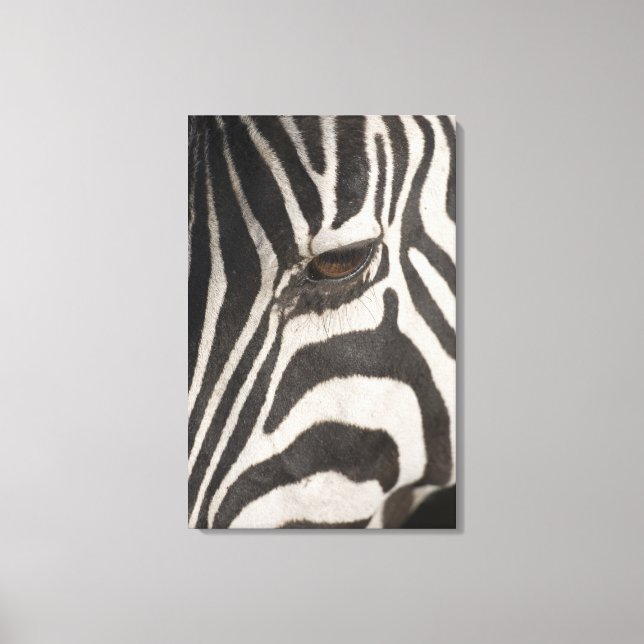 'Africa, Tanzania, Ngorongoro Conservation Area' Canvas Print (Front)