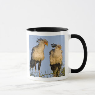 Africa. Tanzania. Secretary Birds at Ndutu Mug