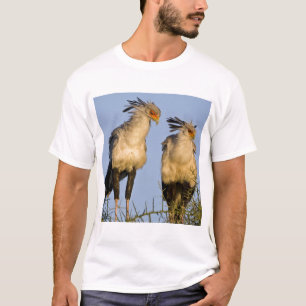 Africa. Tanzania. Secretary Birds at Ndutu T-Shirt