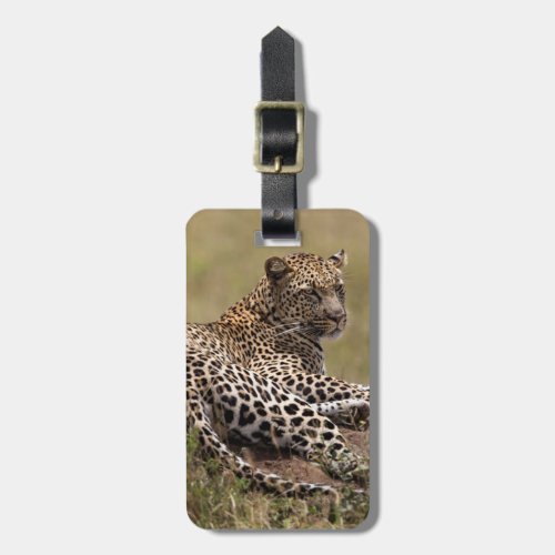 Africa Tanzania Serengeti Leopard Luggage Tag