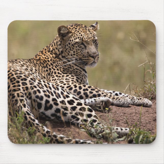 Africa, Tanzania, Serengeti. Leopard Mouse Pad (Front)