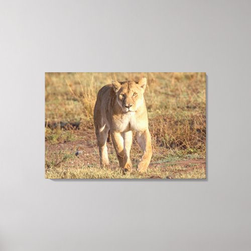 Africa Tanzania Serengeti Lion And Lioness Canvas Print