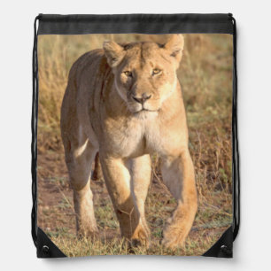 Africa, Tanzania, Serengeti. Lion And Lioness Drawstring Bag