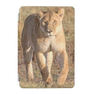 Africa, Tanzania, Serengeti. Lion And Lioness iPad Mini Cover
