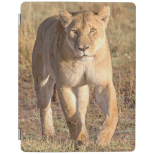 Africa, Tanzania, Serengeti. Lion And Lioness iPad Smart Cover